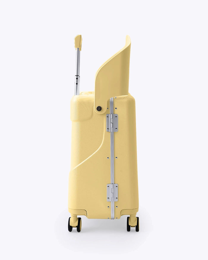 Carry on Luggage with Seat