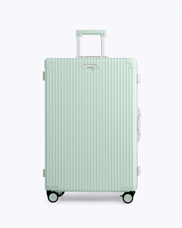 Carry-on + Check-in