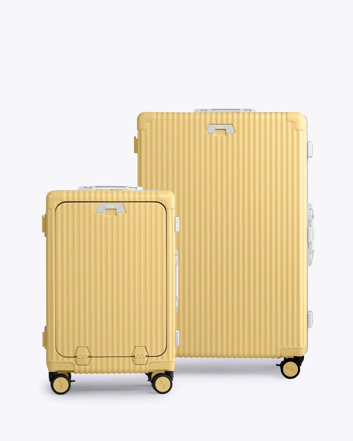 Carry-on + Check-in