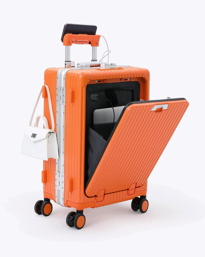 Carry-on + Check-in