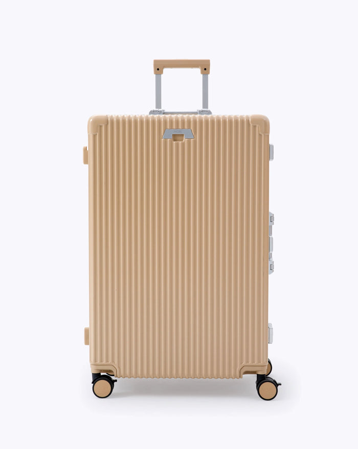 Carry-on + Check-in