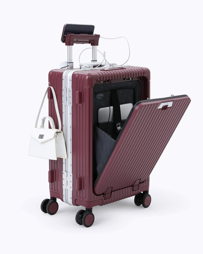 Carry-on + Check-in
